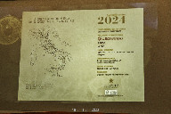 Album Italia
